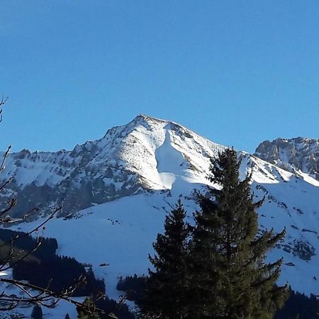 Chalet Allmegrat Adelboden Exteriör bild