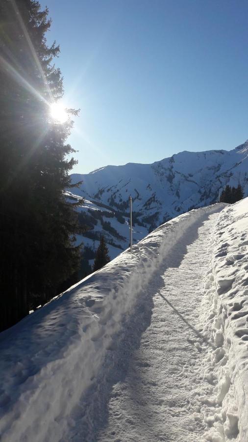 Chalet Allmegrat Adelboden Exteriör bild