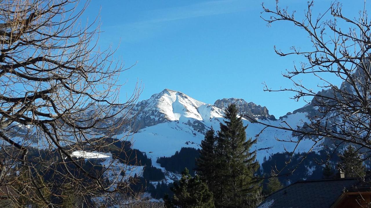 Chalet Allmegrat Adelboden Exteriör bild