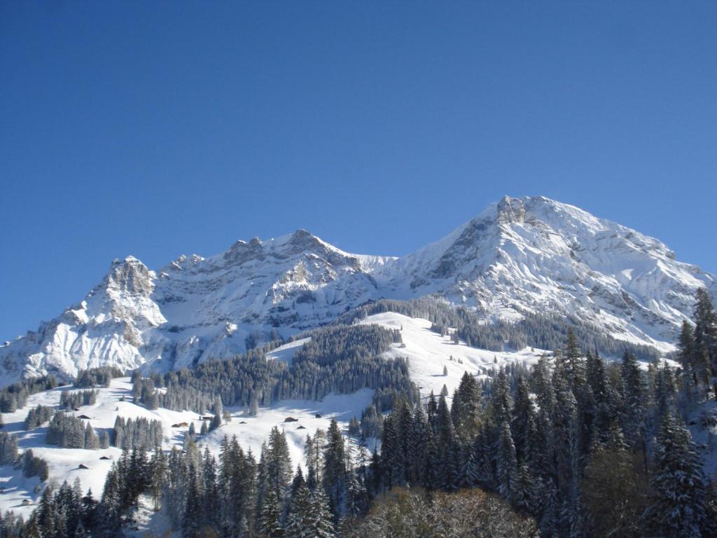 Chalet Allmegrat Adelboden Exteriör bild