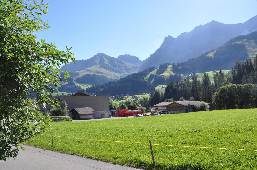 Chalet Allmegrat Adelboden Exteriör bild