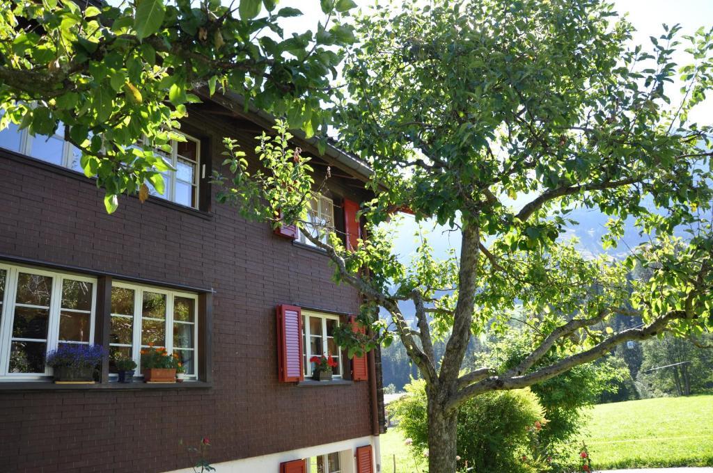 Chalet Allmegrat Adelboden Exteriör bild